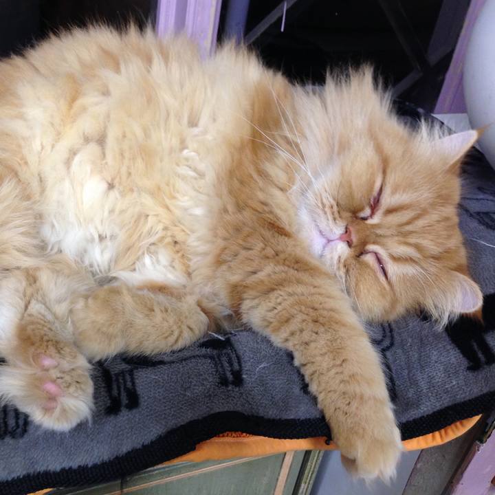 B3ef241d 4304 4246 bd3b 3a1763b0bd02