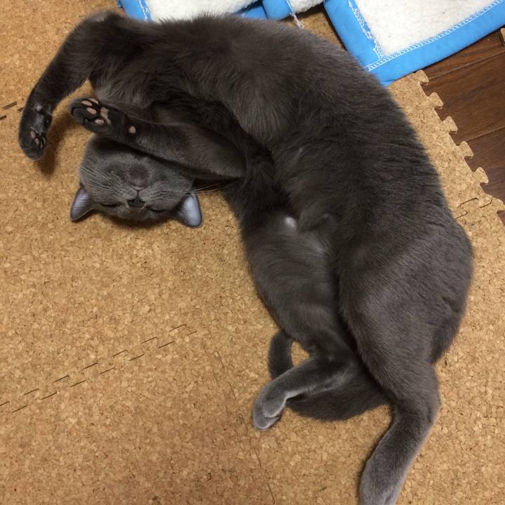 B3f07daa 2d1e 46c1 82d6 c78fb0381073