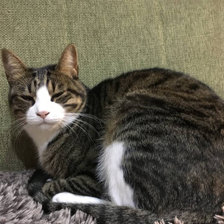 B3f07dcd 7b38 4abf 83e8 863eddf33de2