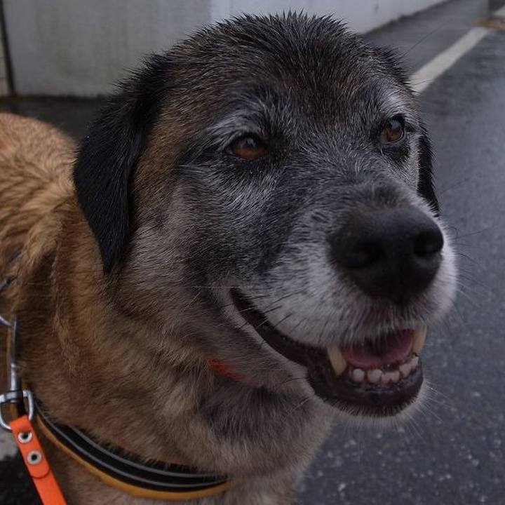 B3f07e60 0206 49d2 bf2b 97837a02735c