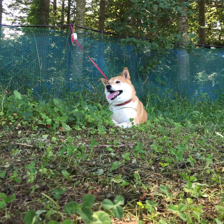 B3f082bd a3d9 4af8 9441 817869656b1e