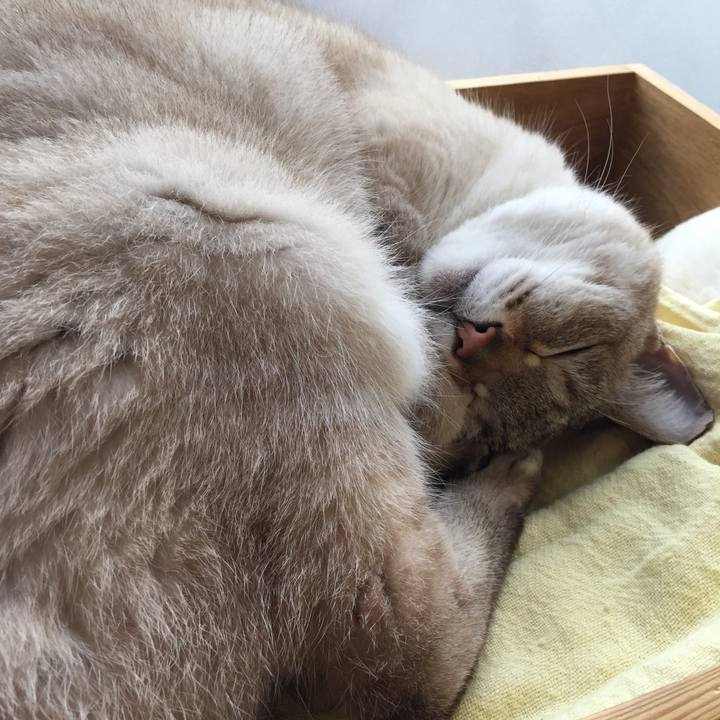 B3f1b32f a635 4e92 831f 4ed9bd598180