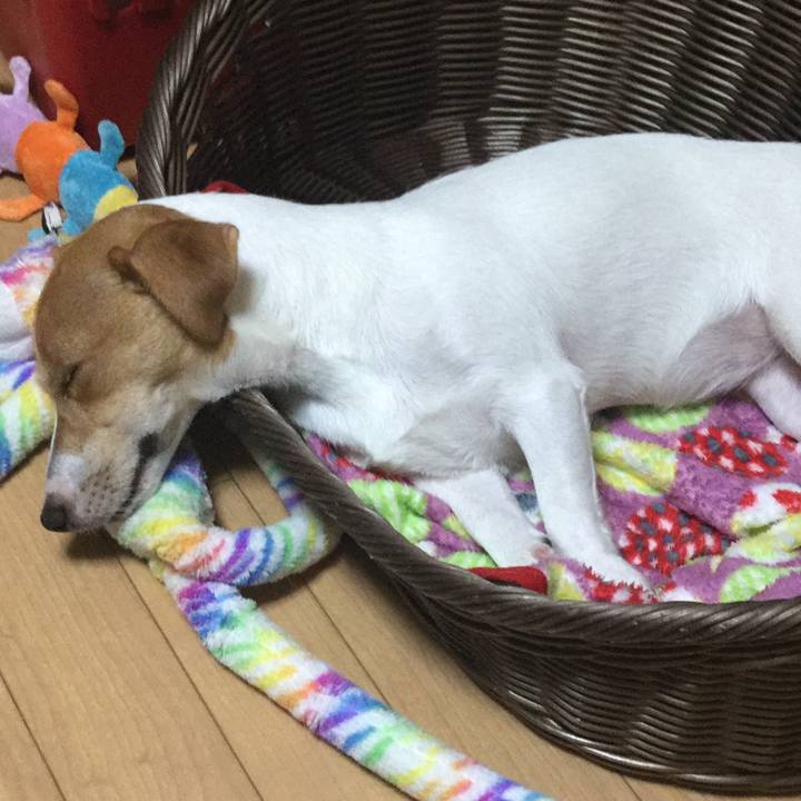 B3f1cbbb 7785 4c1d 9194 b2e61131f3d2