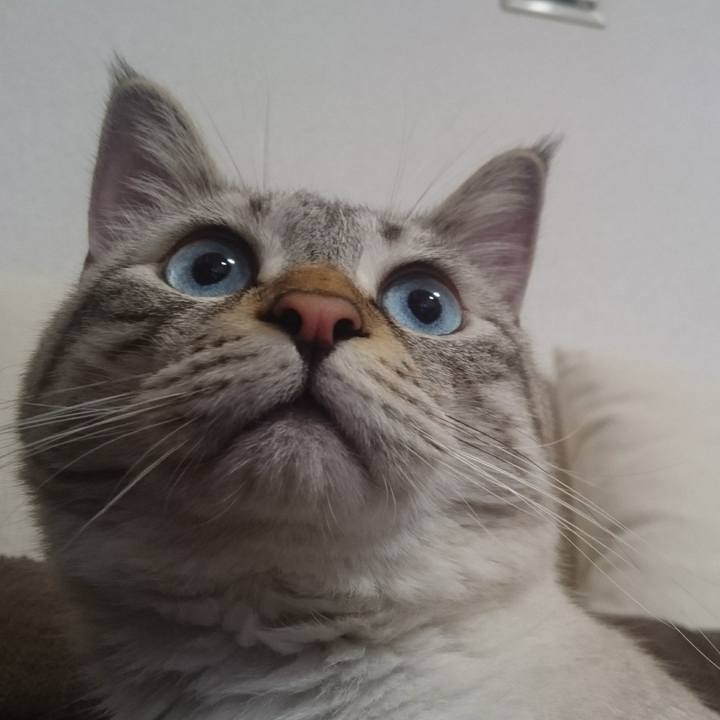 B3f1ccd8 94d8 4bff b484 6b00bd67f171