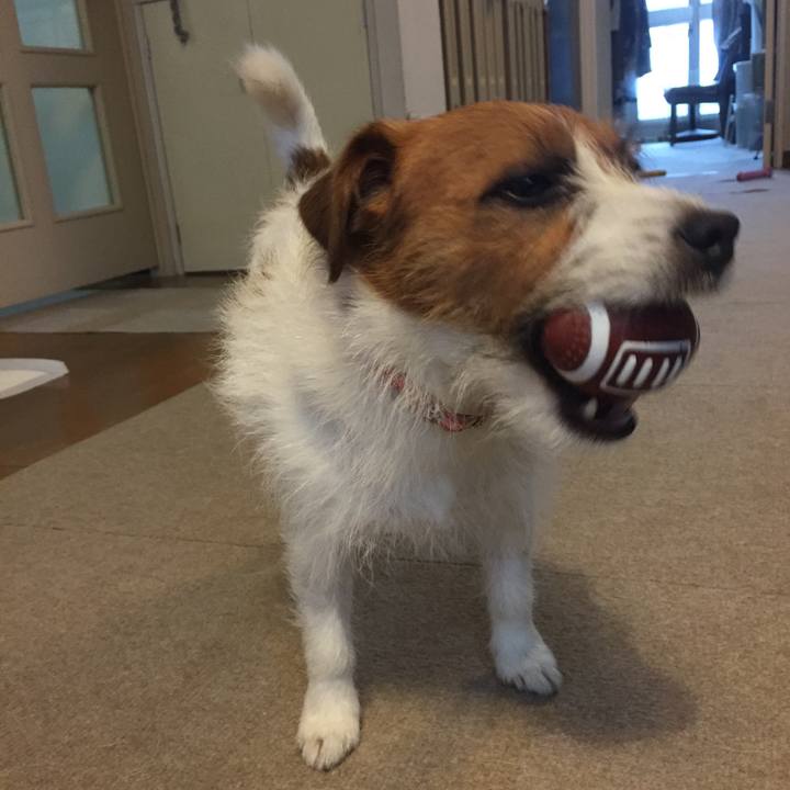 B3f242d2 a249 4dac 8ff6 a6c575b3028a