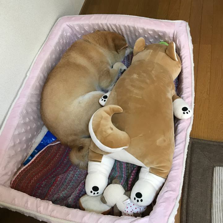 B3f25e19 2652 47e7 bcb8 65d7f9cd0684