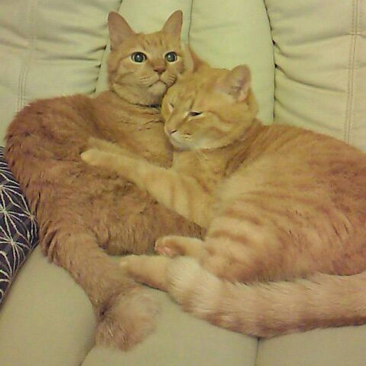 B3f268ac 4f6e 4b2e 8e6e cdcaa2c63947