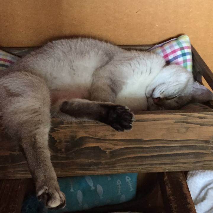 B3f295f5 8ee5 4ad9 a07a 6e1afec942a9