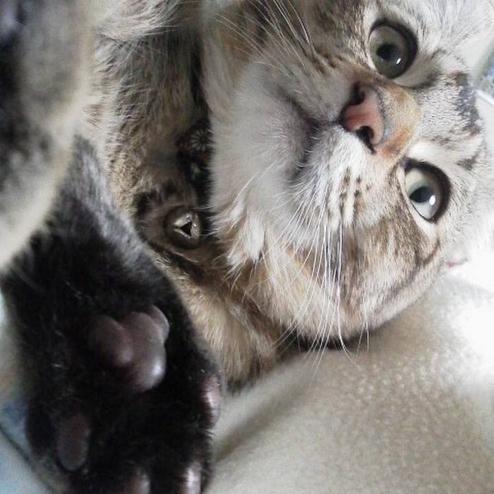 B3f2d60c 2823 42f7 8da1 9439bf2cc8c4