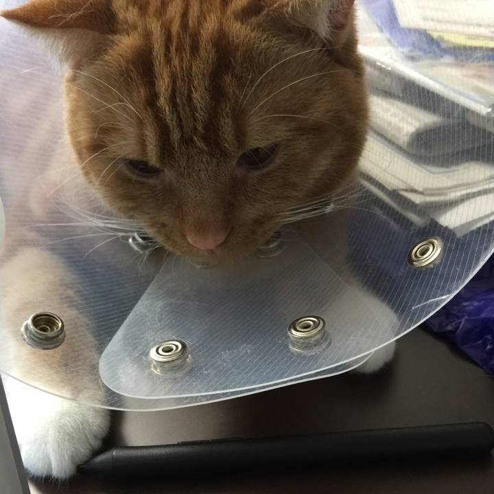 B3f3a696 f9c4 4bb0 987c b12e1647a2b0