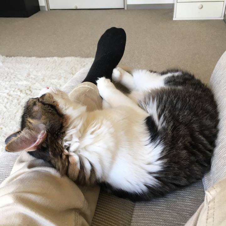 B3f3bea2 0abd 4834 b077 7be812a3d6da