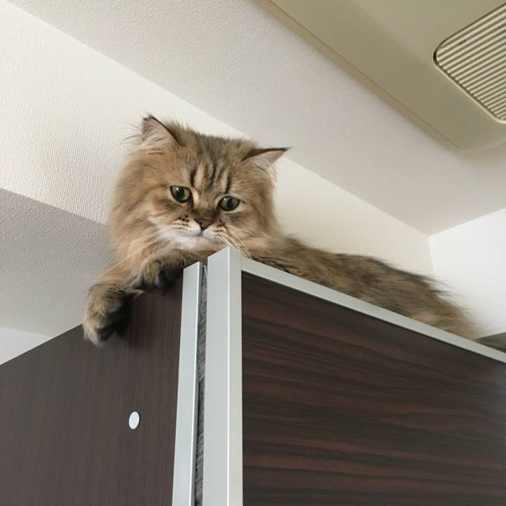 B3f49f49 3666 4064 bc95 1edcdec4e5d0