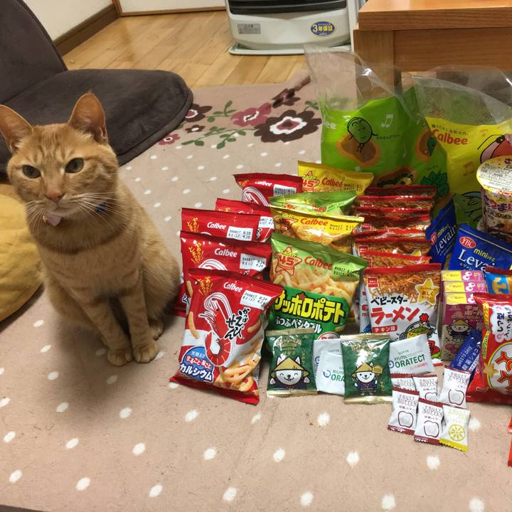 B3f4af13 cfb3 4be1 8304 aceb907e9828