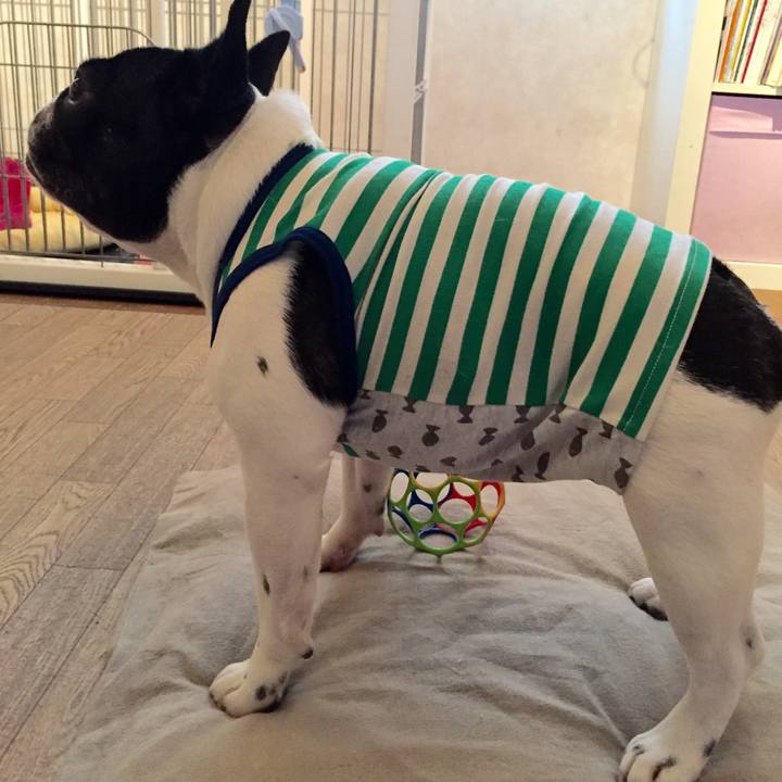 B3f4c5c1 a1cf 4503 a1a5 e59fab390257