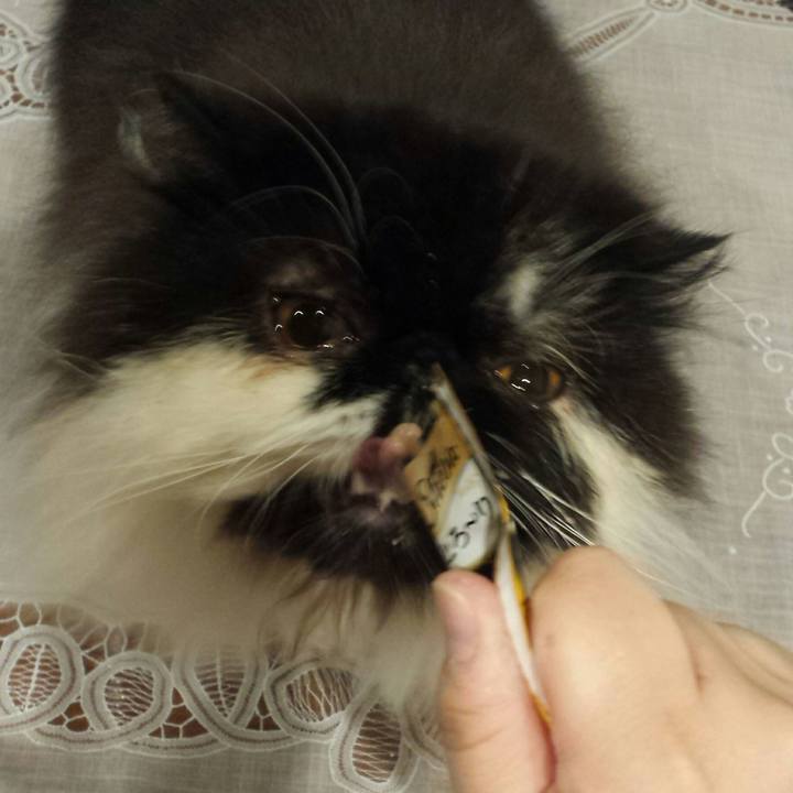 B3f4d571 dfd1 42d5 890a 79d1091c9ba4