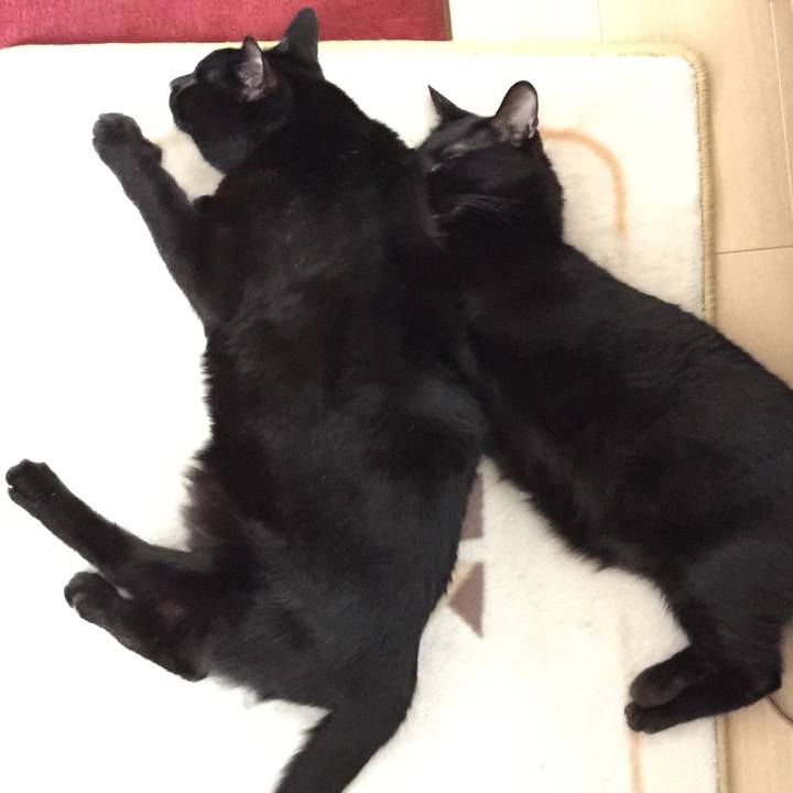 B3f4fa33 3327 4883 82da fe1723cea780