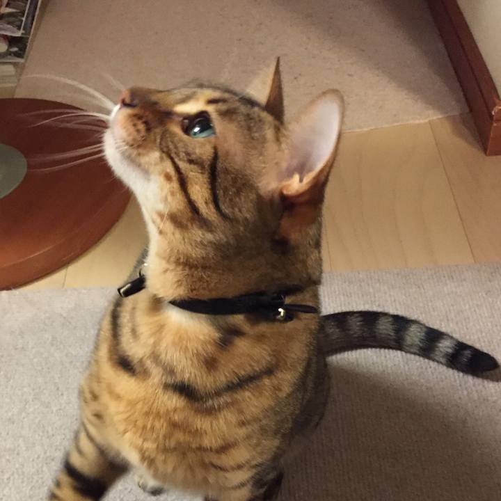 B3f5382c 5bbd 434f 92c3 eecb9b958998