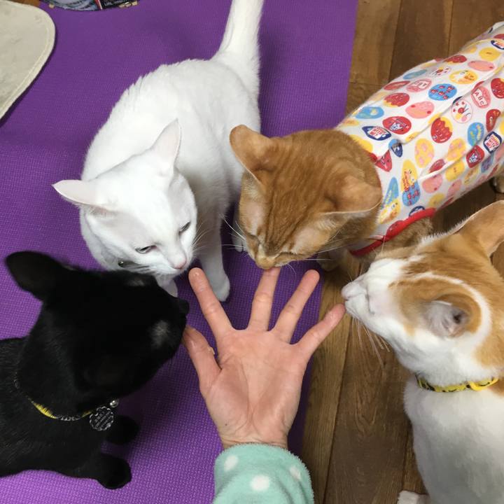 B3f59361 ce97 4762 ad3b 63b8ffef7d40