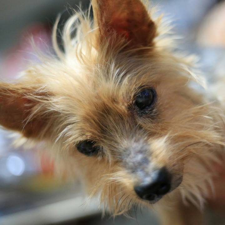 B3f62f49 ab8d 41cf 840f a5aefda3fdc0