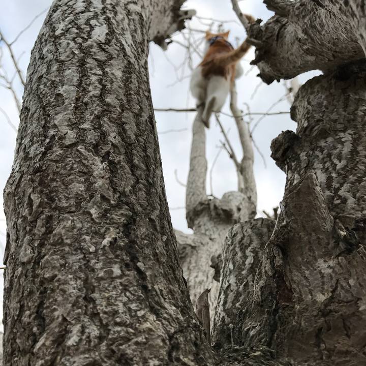 B3f663e2 909a 41e1 b4f3 9b00ca1cc5d3