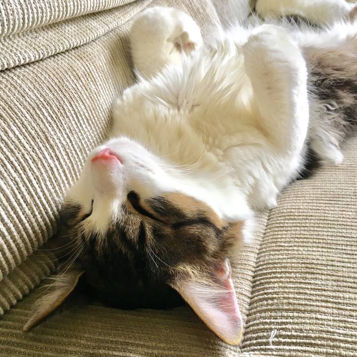 B3f69031 9634 4300 8c9c 77a2ab82908b