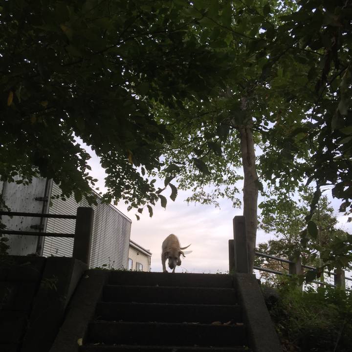 B3f724a2 0669 4b96 b215 9204277bb7ad