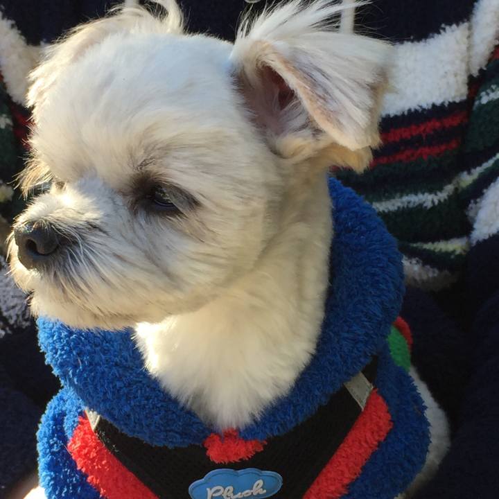 B3f7977c 10a3 419c b2d7 c1ab360cd0e8