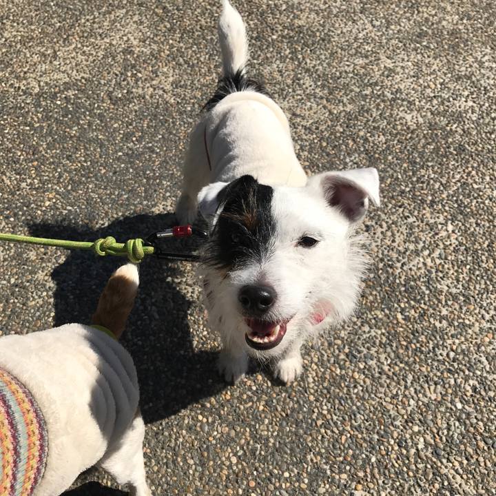 B3f7caf8 6b52 4913 a5de 6245e8d4d6b9