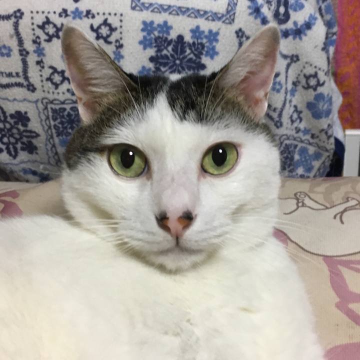 B3f8b73d feb1 4cff a282 5dc7807f0f8f