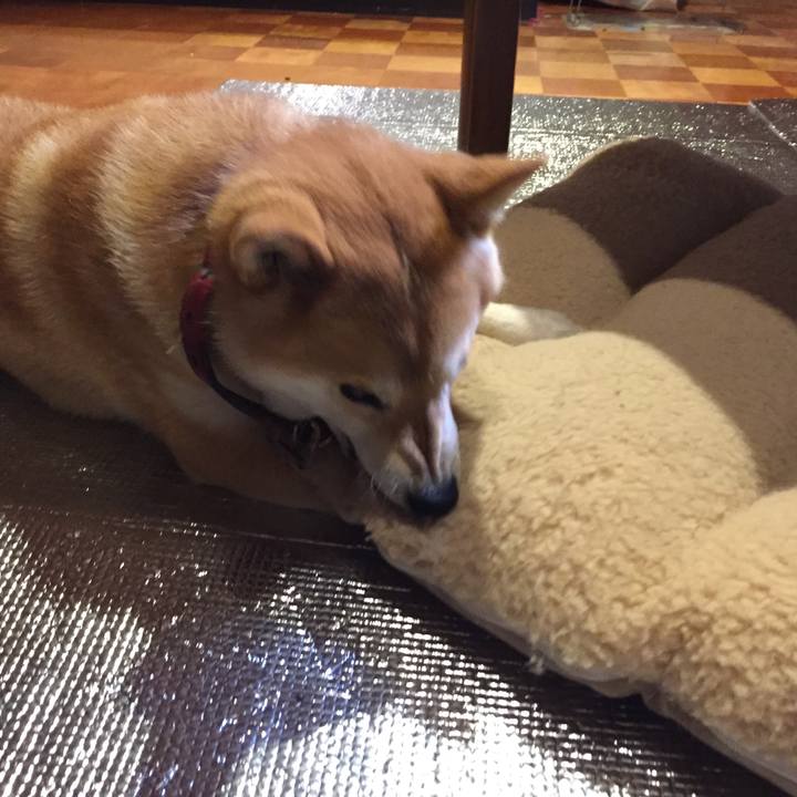 B3f8df9b ae71 43a7 9c7c c169d531633f