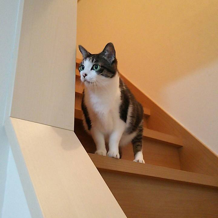 B3f8f070 6482 48ca 8ed3 c76946fb029b