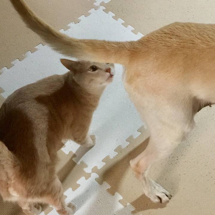 B3f9c835 4bf4 49b8 838e 86438dc0d8f6