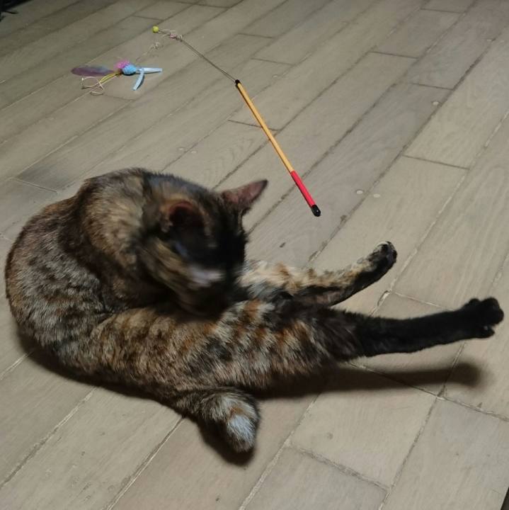 B3f9ec56 ea4e 42fb 866c 7cf4273f5b07