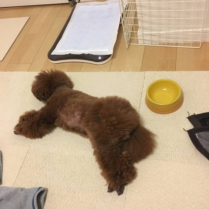 B3fa455b ca56 45c3 b7a5 5d319cb1732a