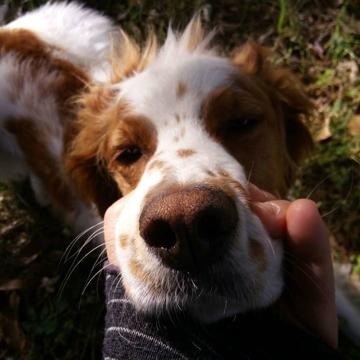 B3fa9fba cb16 445b a46a 83b9a4825591