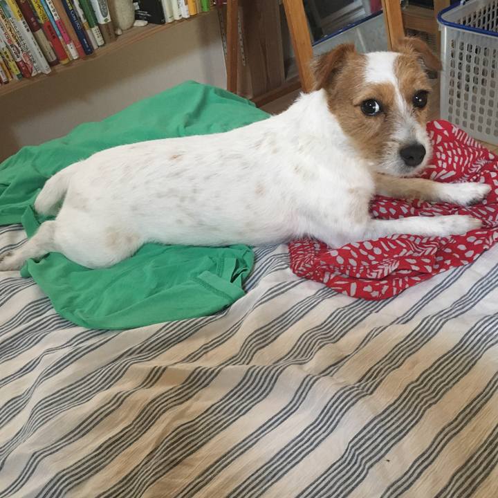 B3facdfe 3bad 4119 a84e 706ff1aa5829