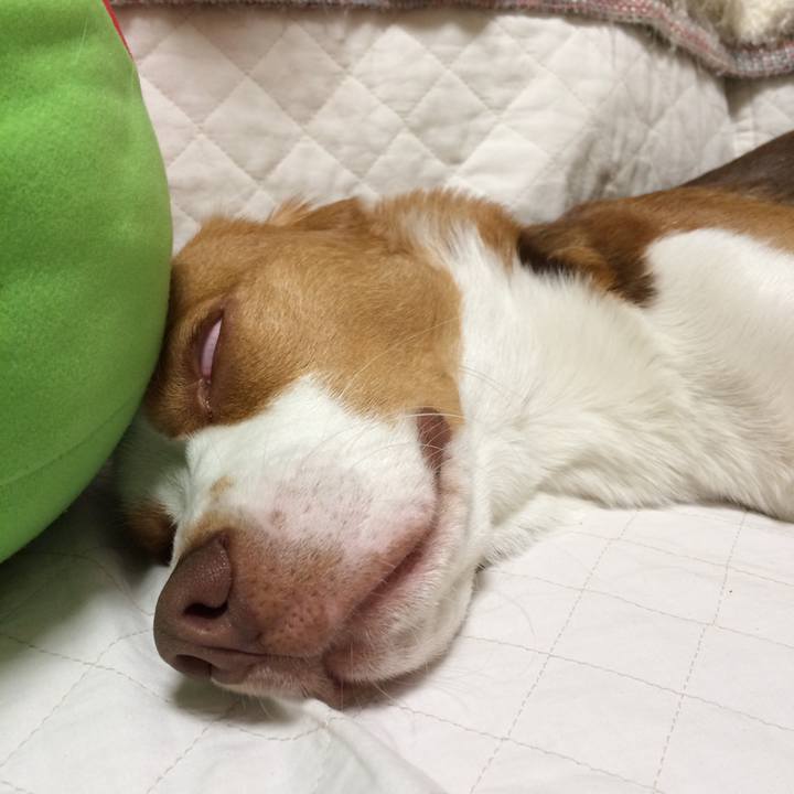 B3fae77a 7870 4c59 a8e8 0b4bc2b59ad9