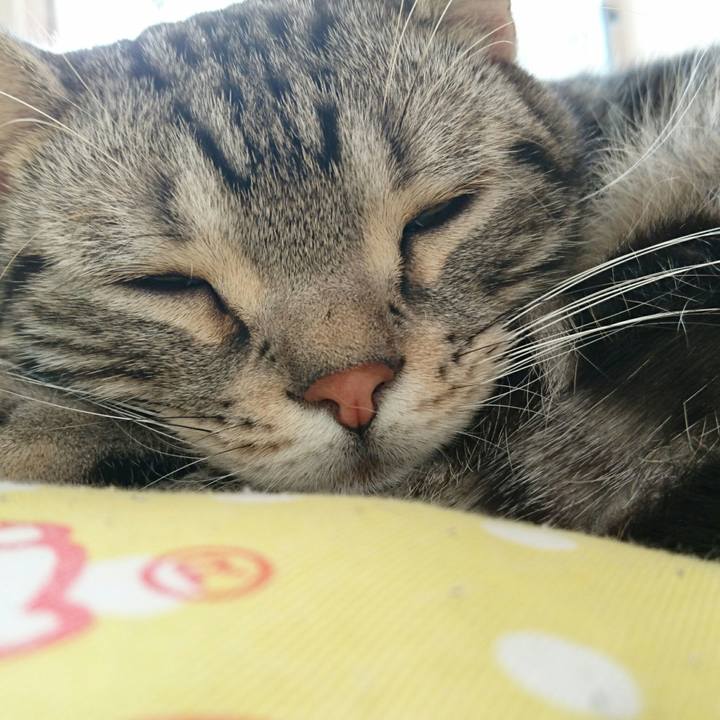 B3fb271f 4d0e 40d7 b4f6 86706fc14283