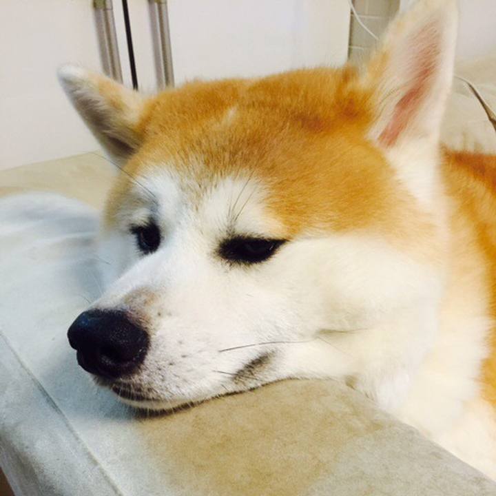 B3fbb3f7 d86a 4113 bd97 a55ac8866d03