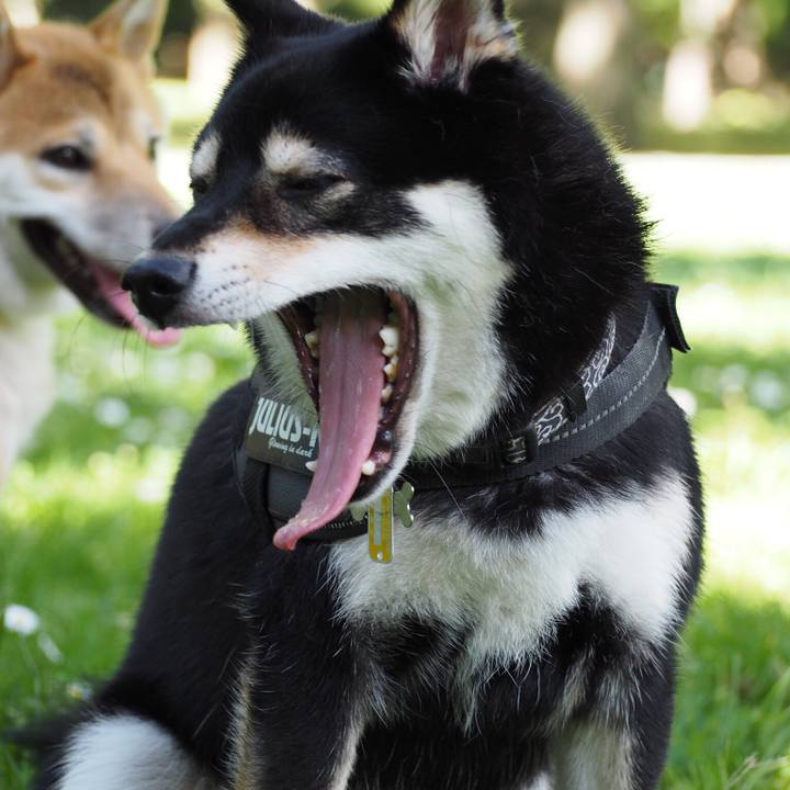 B3fc742b 49e7 4c1c 9198 4a8cd5d45ff8