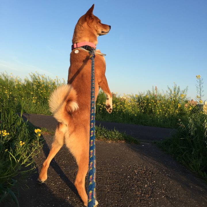 B3fd7c3d 5a27 440c aaac c22cecdaabc6