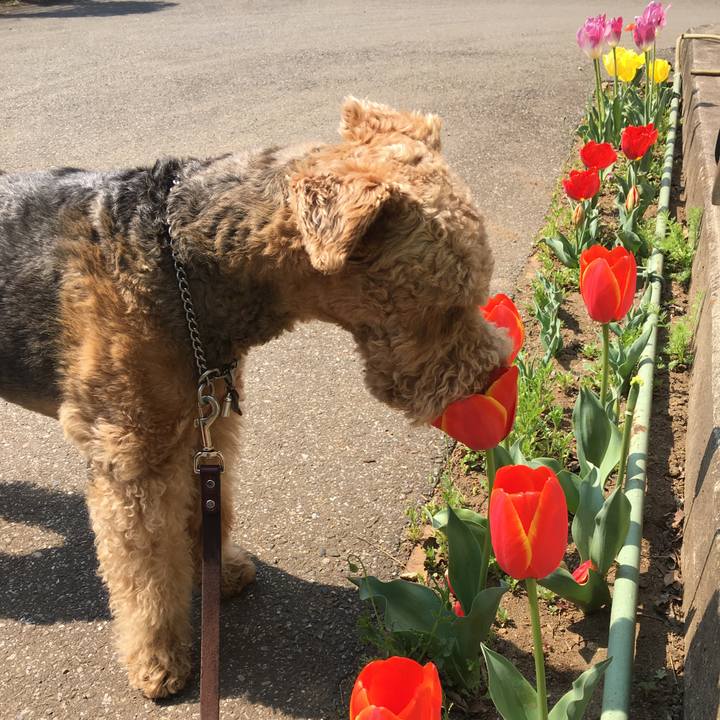 B3fef8cf eb08 435e 93a9 3f243bf374bb