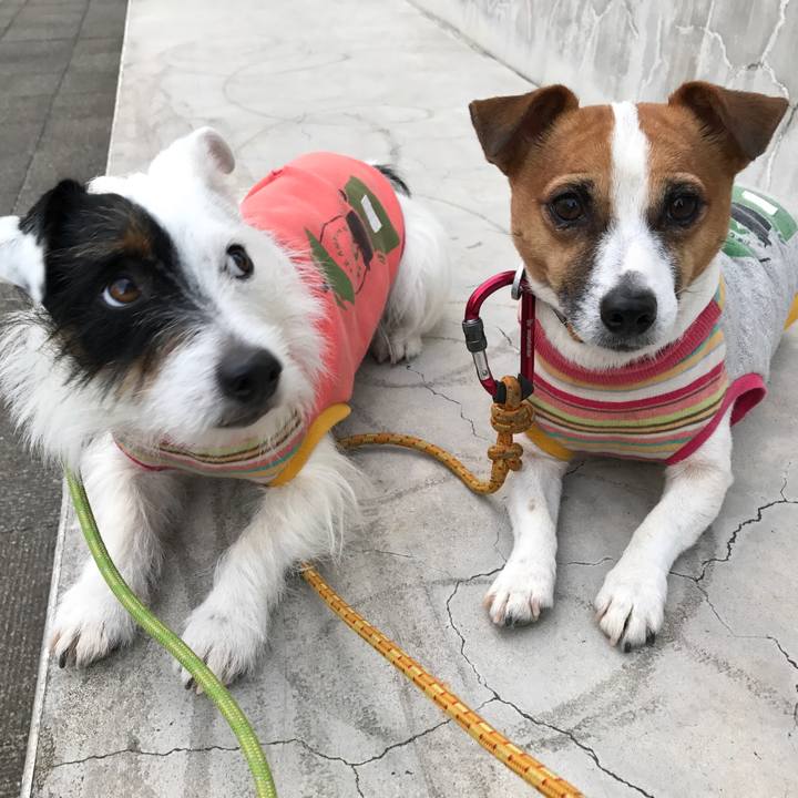 B3ff4ba0 a51c 4951 8fce abfc803a0000