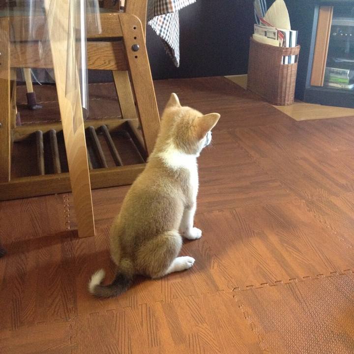 B3ff5b2f d935 4499 88c2 cf96a1f88501