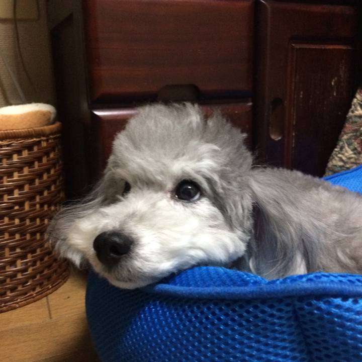 B3ffc5fa 2a67 4b0c 8166 8c5bdd499f86