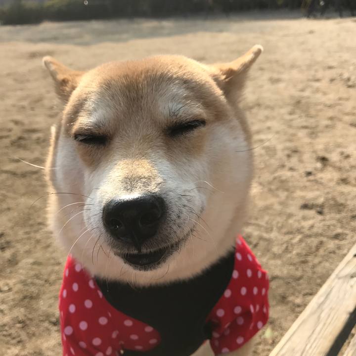 B4002da8 c290 49f9 9664 cc5c5c65d730