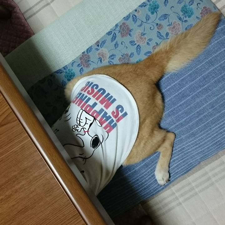 B401e422 f559 484f ae90 77840998fa36