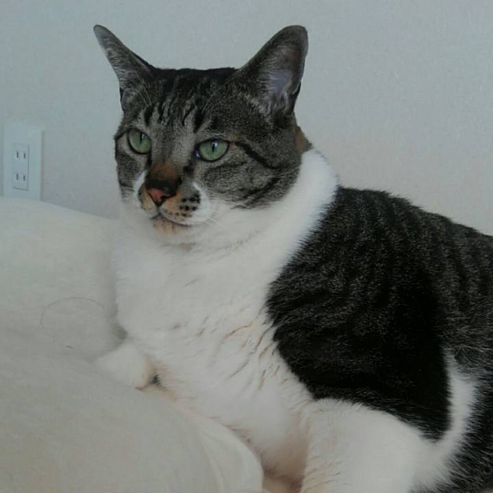 B40284aa 6634 4dc5 827c 0e2ce9425773