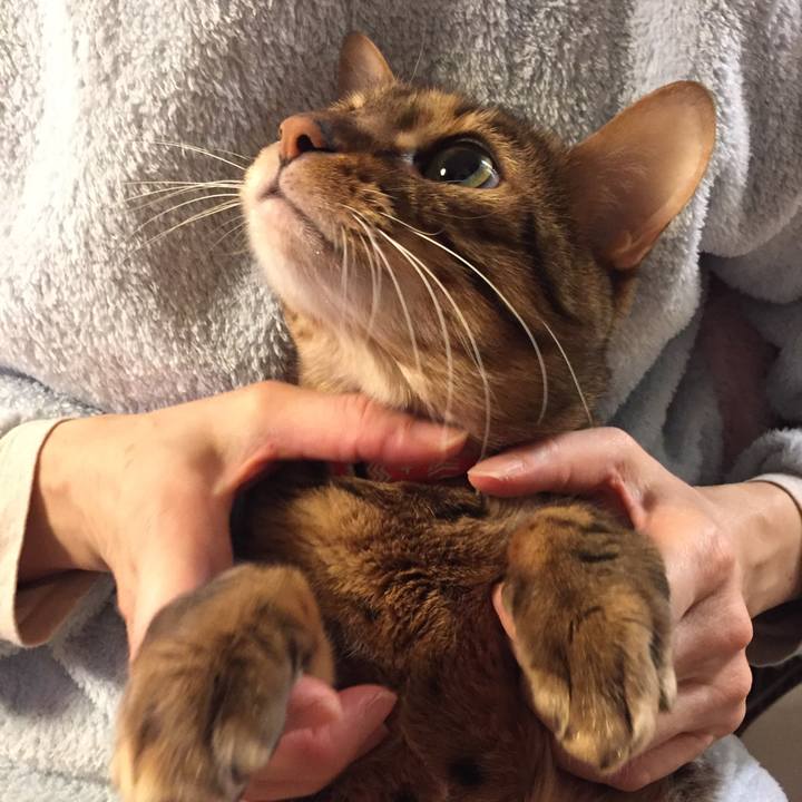 B402e5bd 3b0d 4af1 a4c6 858b609886ed