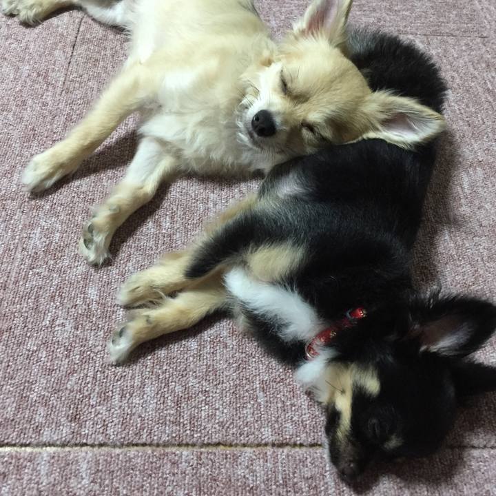 B402fafa 39a2 4f81 95fd a7220c878bcf